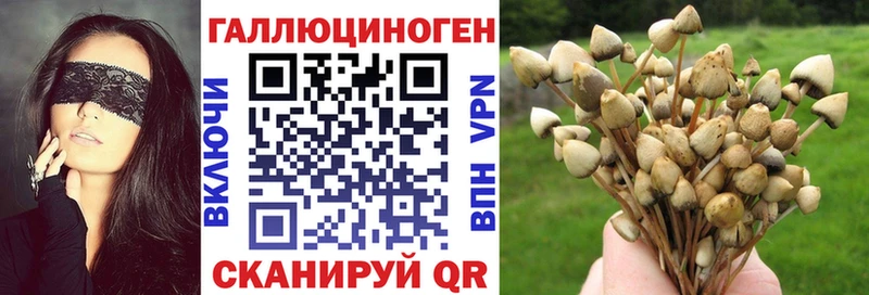 ссылка на мегу онион  Яранск  Галлюциногенные грибы Psilocybe 